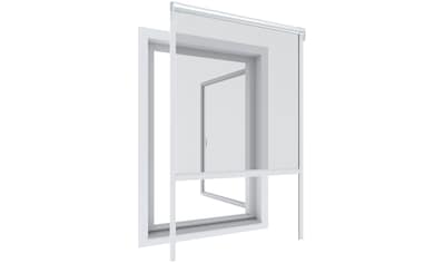 Windhager Insektenschutz-Fensterrahmen »Rollo Basic«, BxH: 160x160 cm, kürzbar, inkl.... kaufen