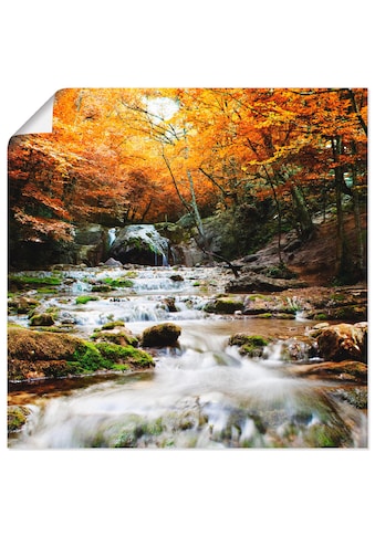 Artland Paveikslas »Herbstlicher Wasserfall« G...