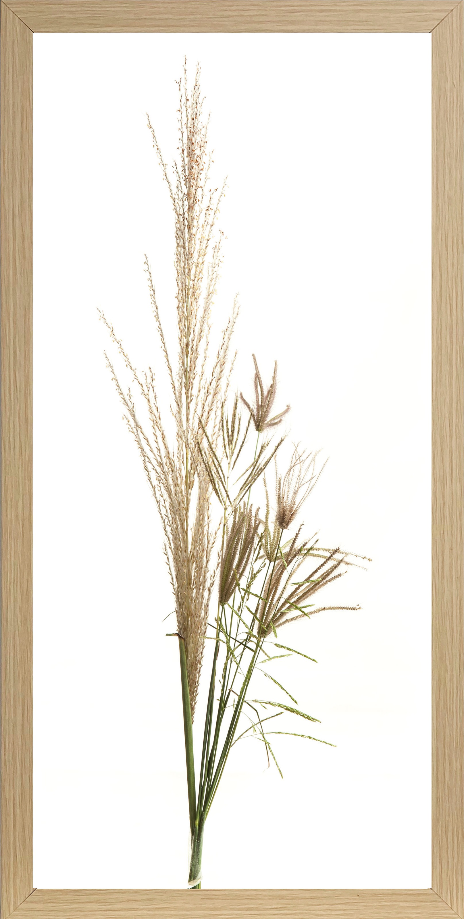 Bönninghoff Bild mit Rahmen »Gräser«, Gräser, (1 St.), BxH: 23x49 cm
