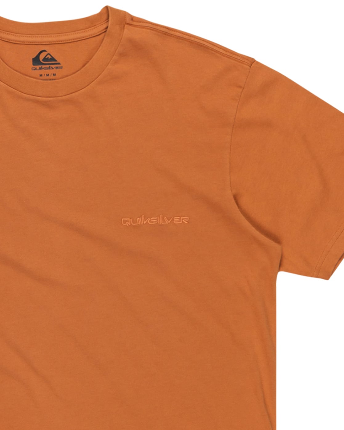 Quiksilver T-Shirt »Salt Water 2024«