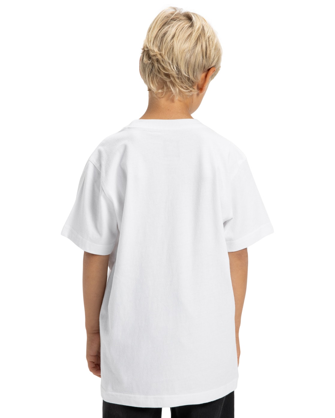 DC Shoes T-Shirt »DC Star Reflective«