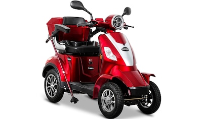 Rolektro Elektromobil »E-Quad 15, Blei-Gel-Akku«, 1000 W, 15 km/h, (mit Topcase) kaufen