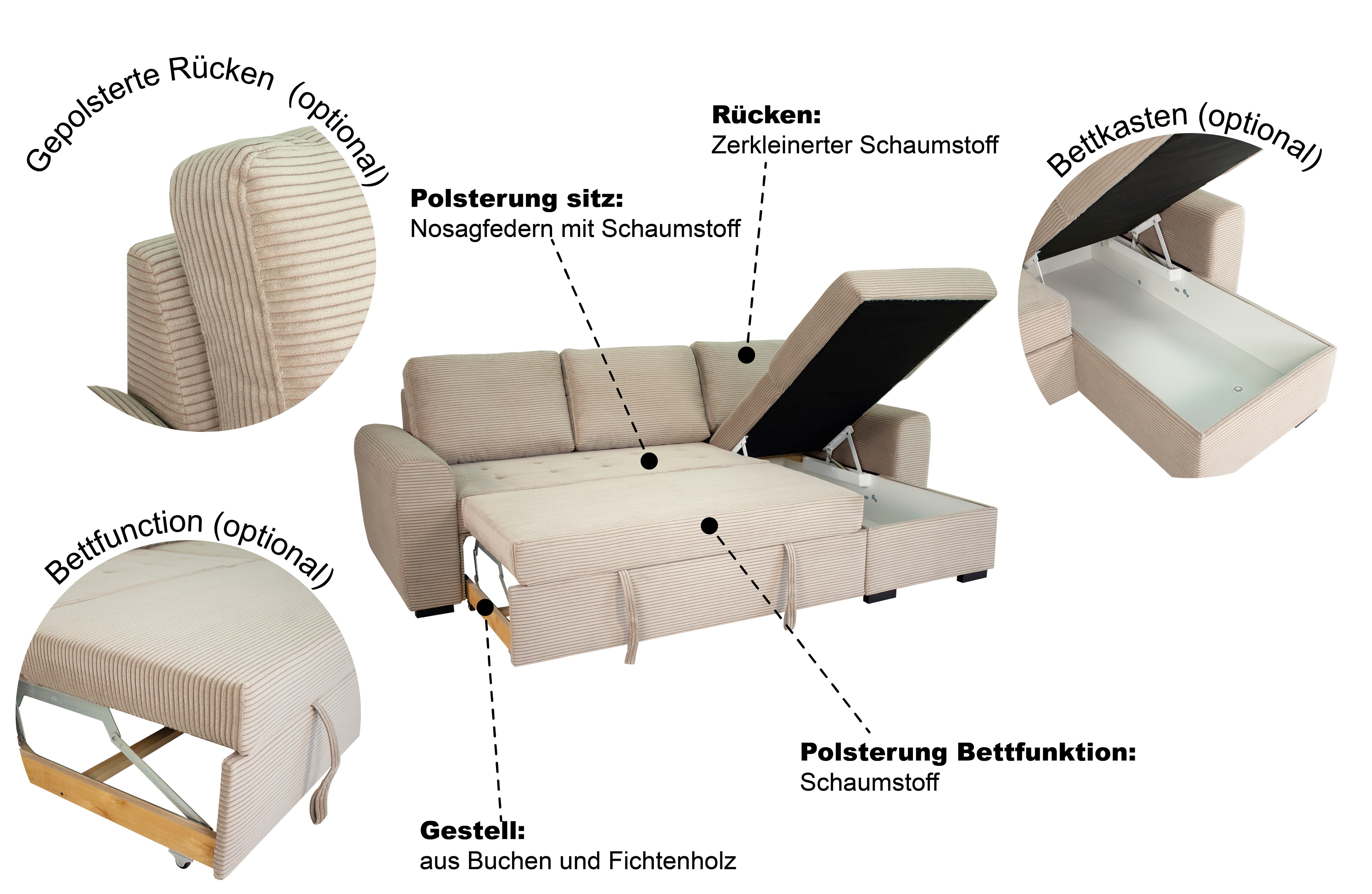 Thumbnail - Trends by HG Ecksofa "Poll L-Form, B: 245 cm" mit Bettfunktion & Bettkasten