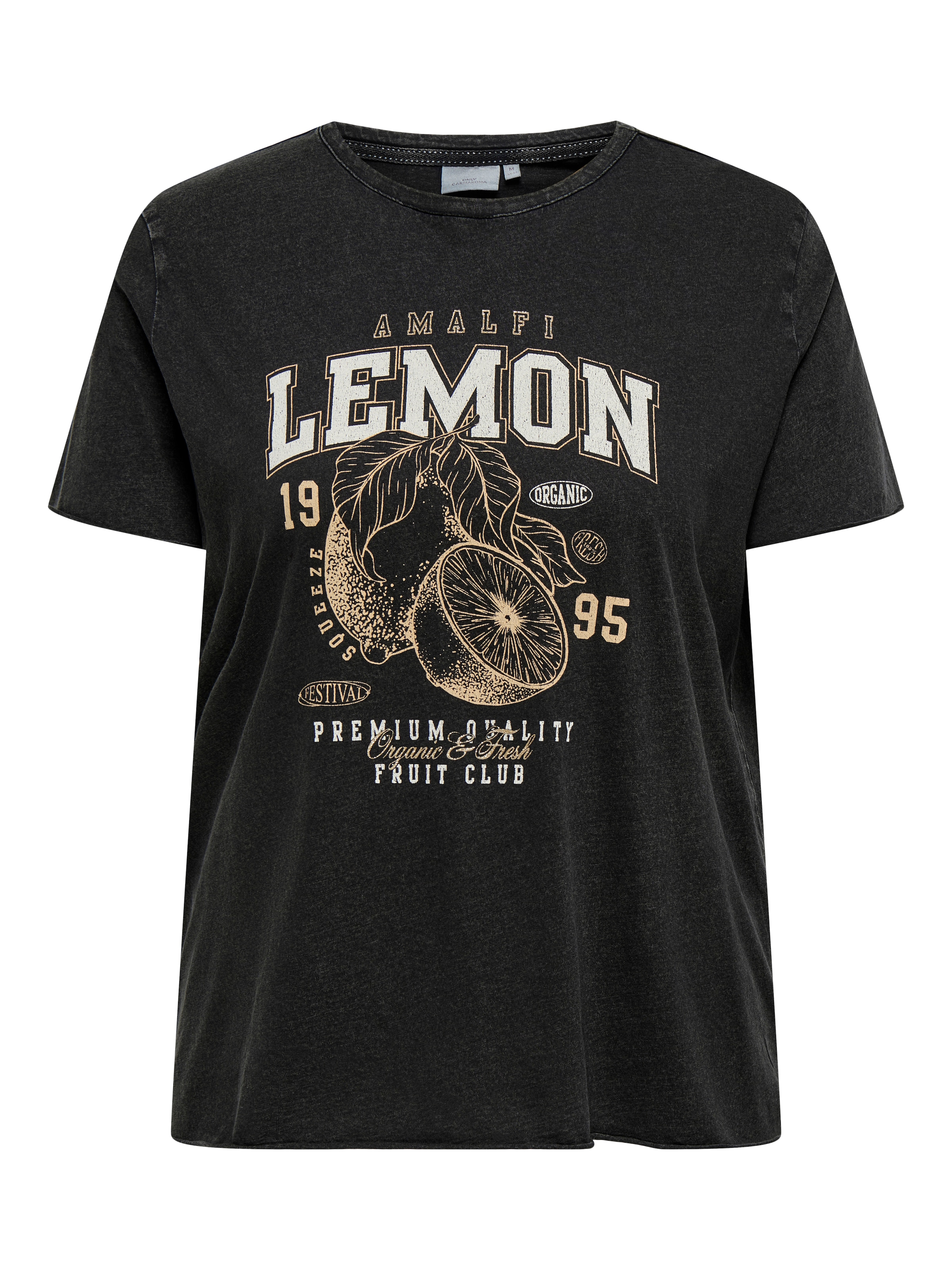 ONLY CARMAKOMA T-Shirt "CARLUCY LIFE REG S/S TOP JRS NOOS" Baumwolle, regul günstig online kaufen