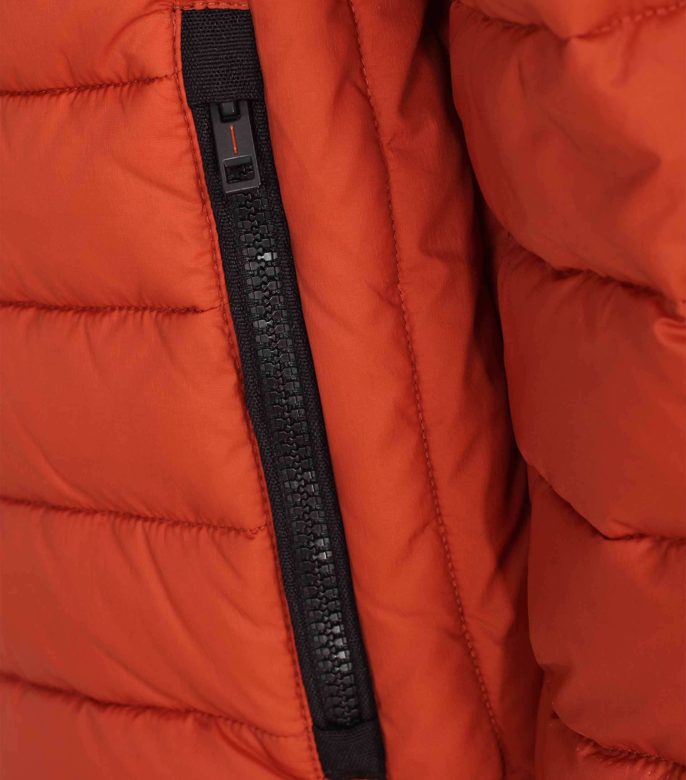 CASAMODA Steppjacke »CASAMODA Steppjacke uni«