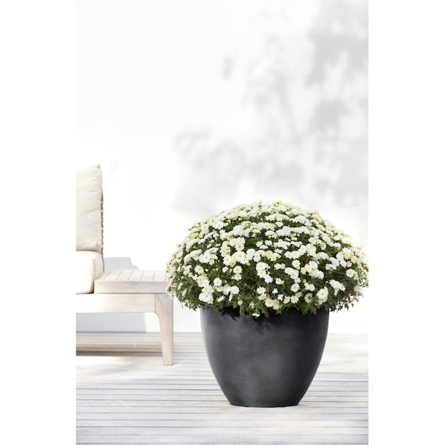 ECOPOTS Blumentopf »ANTWERP Dark Grey«, BxTxH: 40x40x30 cm kaufen | BAUR