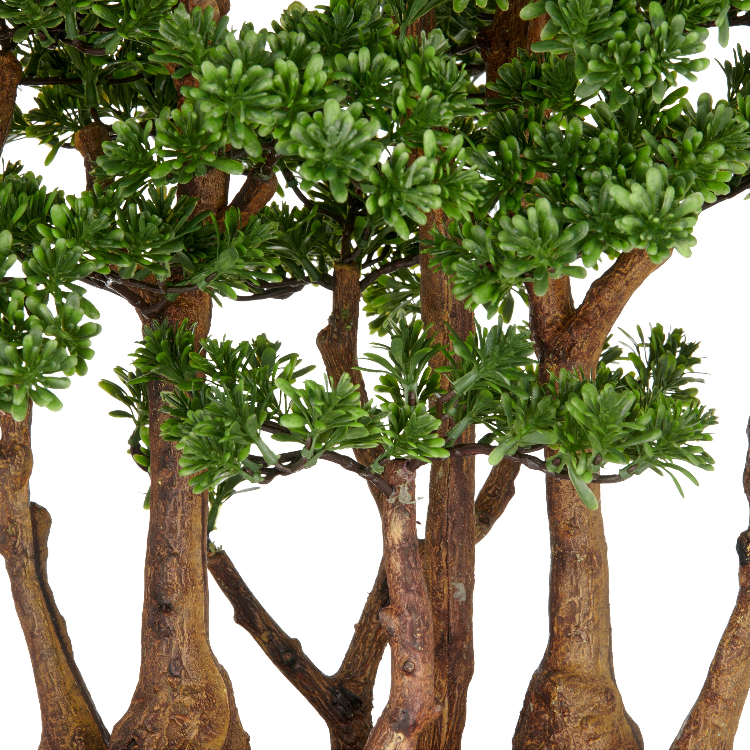 Creativ green Kunstbonsai »Bonsai Teeblatt«, mit detailgetreuer Gestaltung