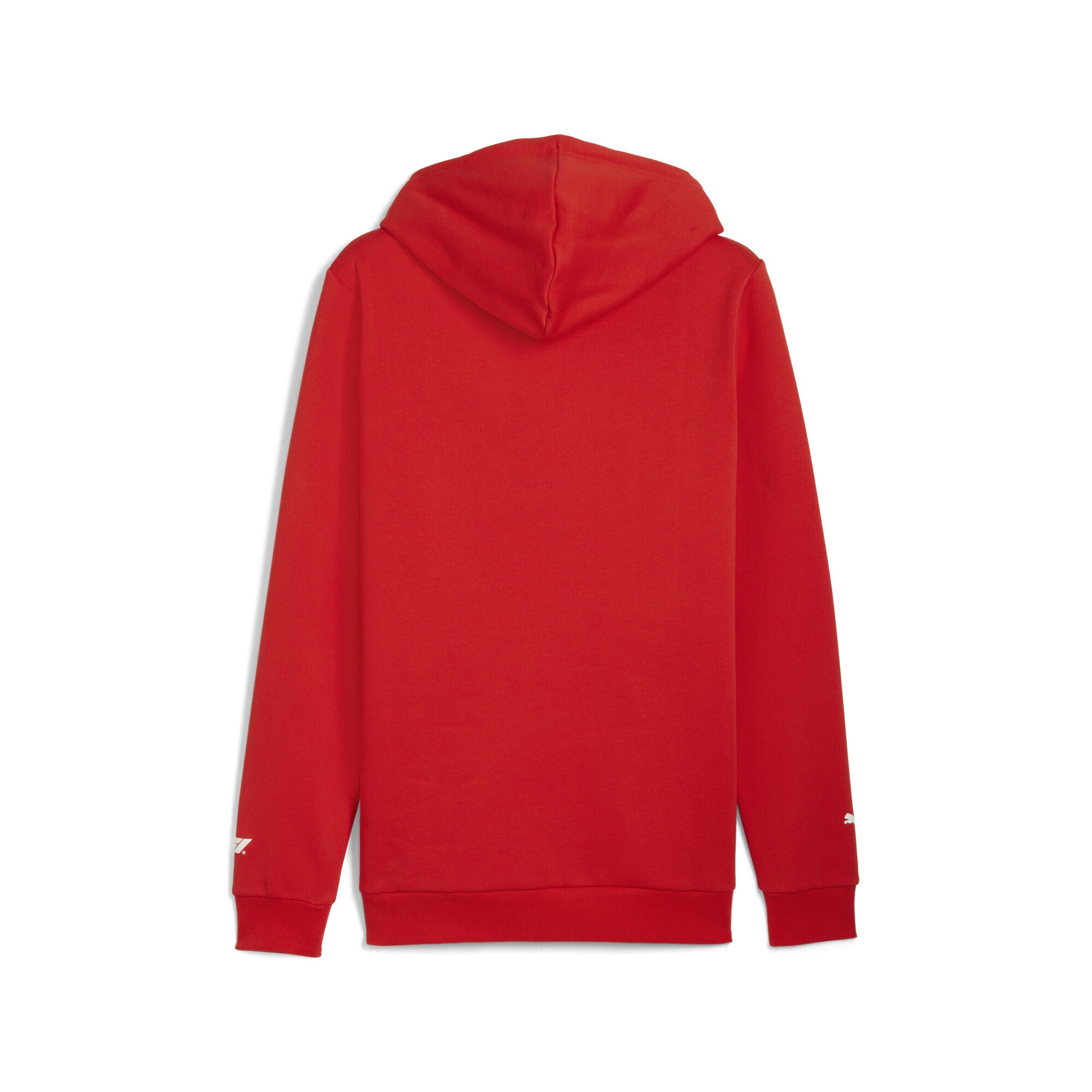 PUMA Hoodie »F1® Essentials Logo Graphic Hoodie Herren«