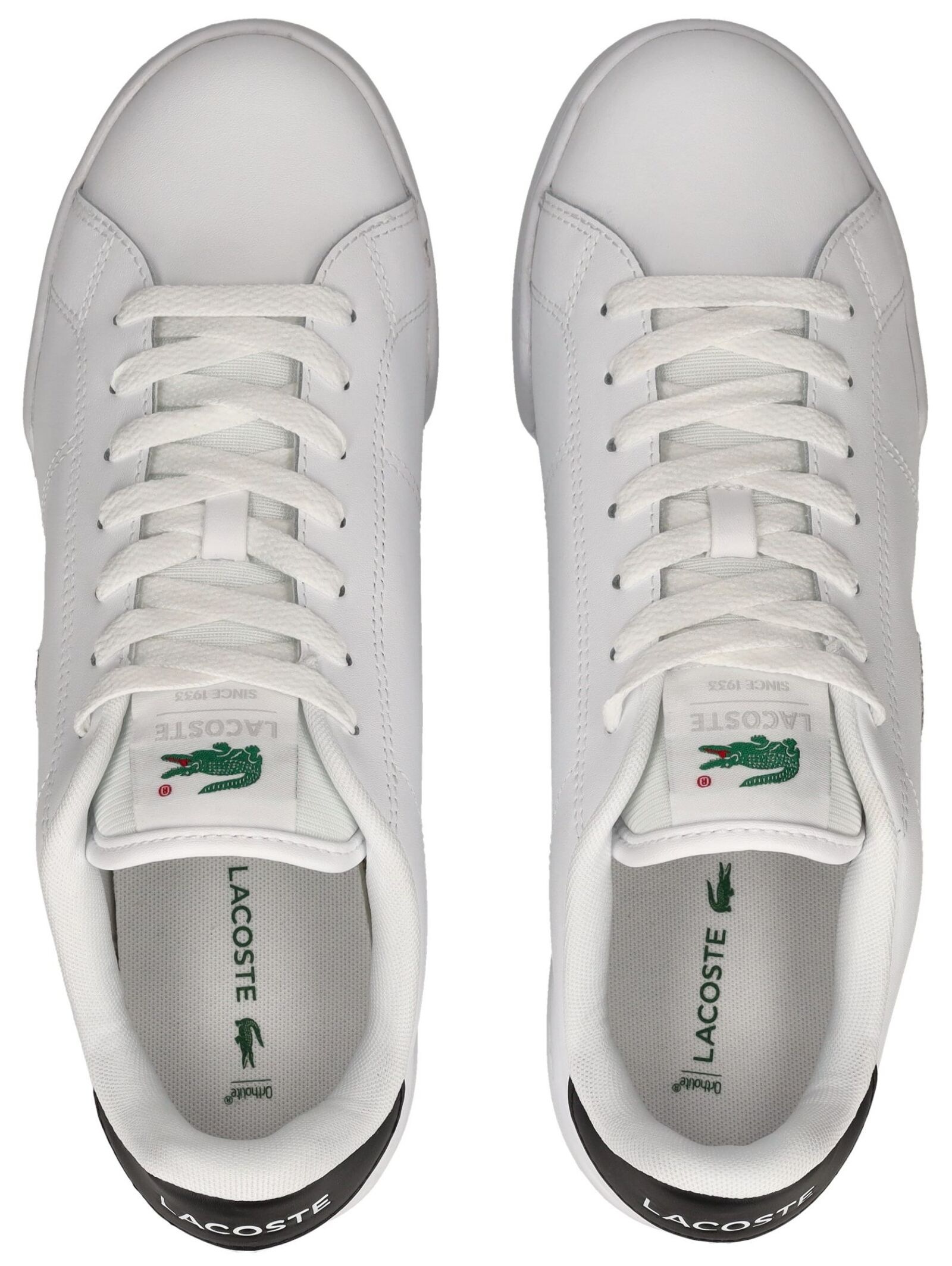 Lacoste Sneaker »lacoste Sneaker Leder«