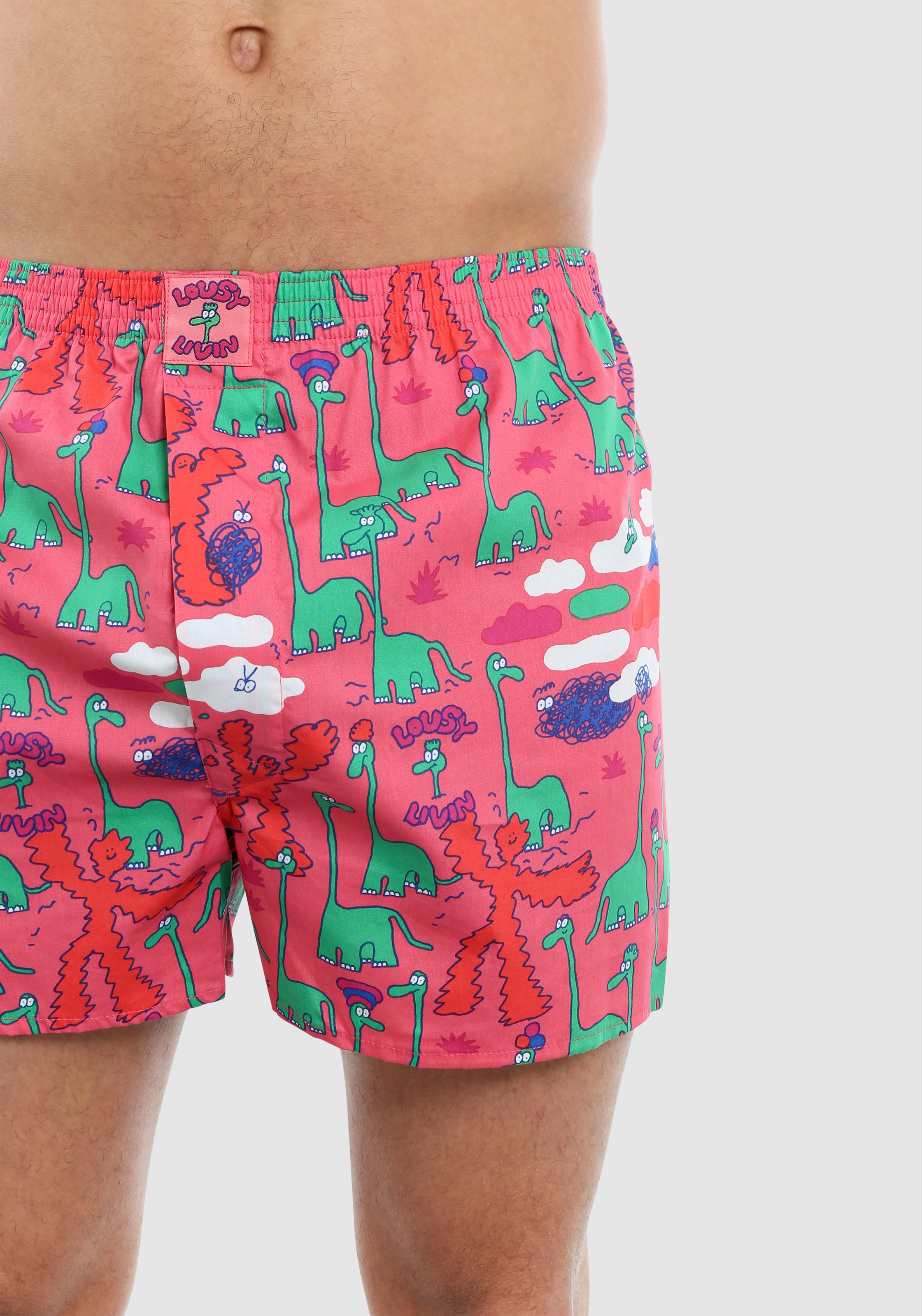 Lousy Livin Boxershorts »Dinos 2Pack«, (2 St.), im praktischen 2er-Pack