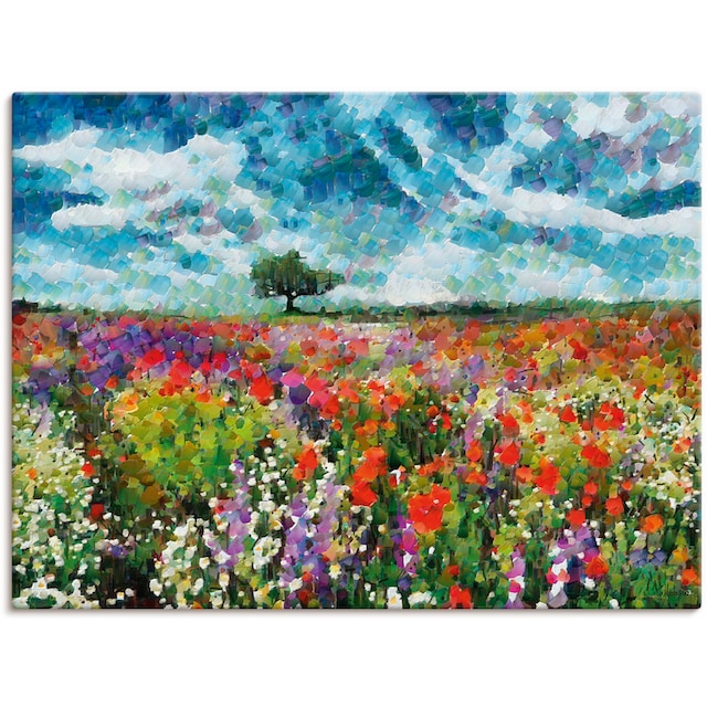 Artland Wandbild »Bunte Wiese«, Blumenwiese, (1 St.), als Alubild,  Leinwandbild, Wandaufkleber oder Poster in versch. Größen kaufen | BAUR