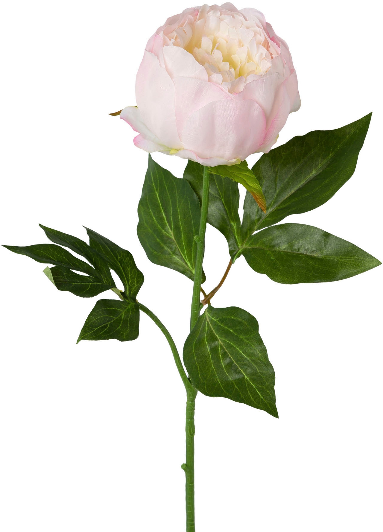 Creativ green Kunstblume »Peonie«