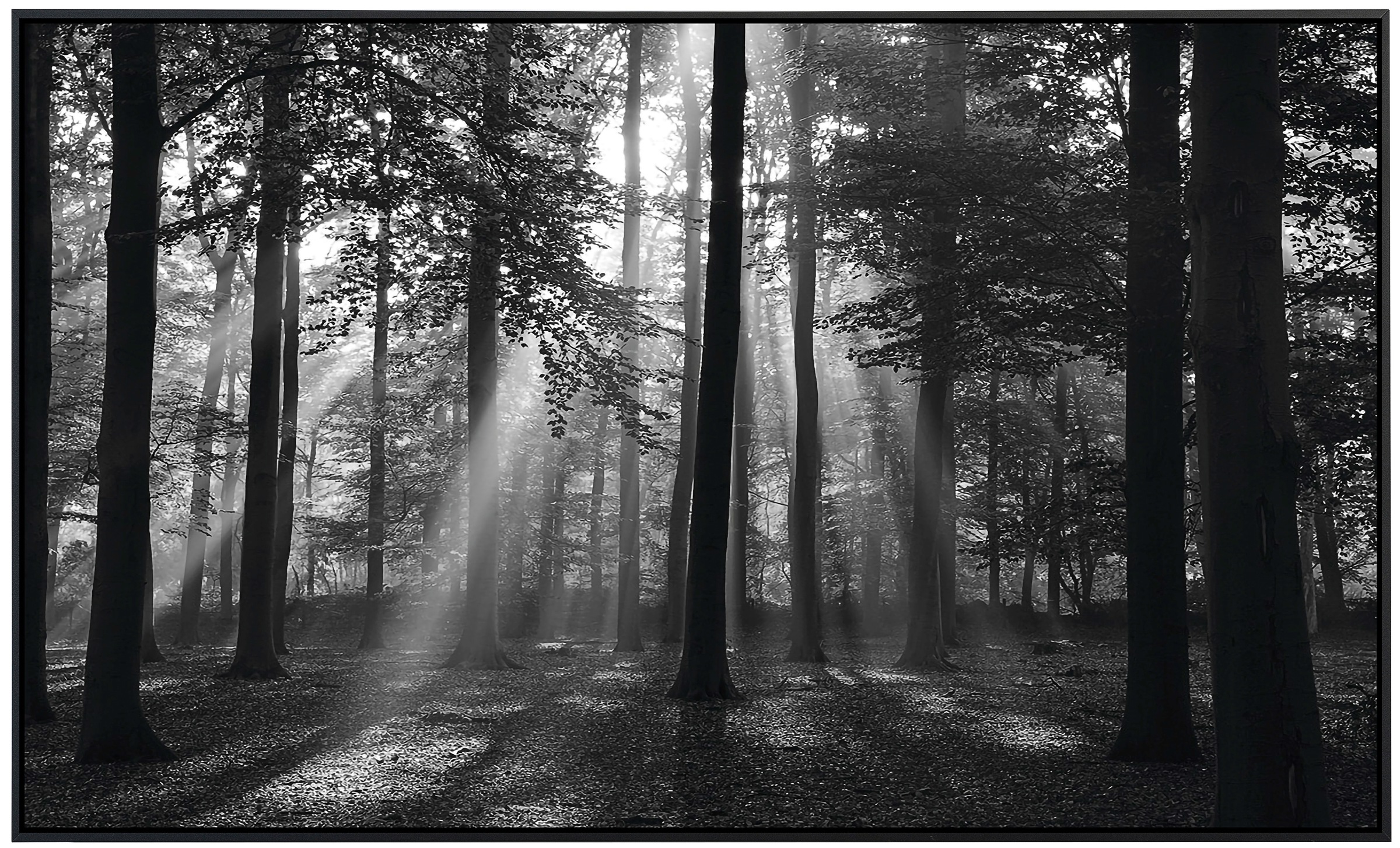 Papermoon Infrarotheizung »Forrest Morgen in schwarz & weiß«, sehr angenehme Strahlungswärme