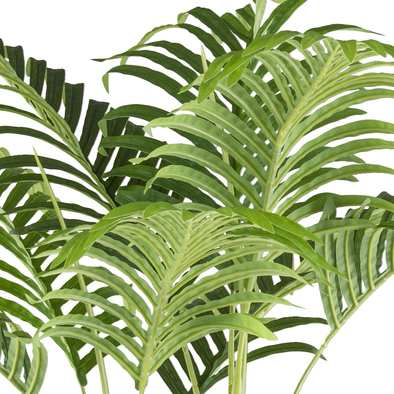 Creativ green Kunstpalme »Bambuspalme«, mit zahlreichen Wedeln