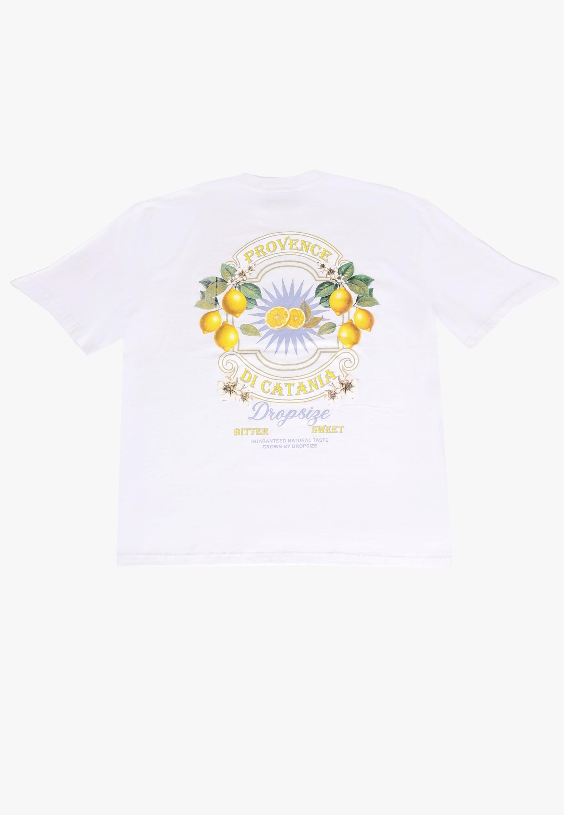 Dropsize T-Shirt "Dropsize HEAVY OVERSIZE CITRUS T-SHIRT", 1 Stk. günstig online kaufen