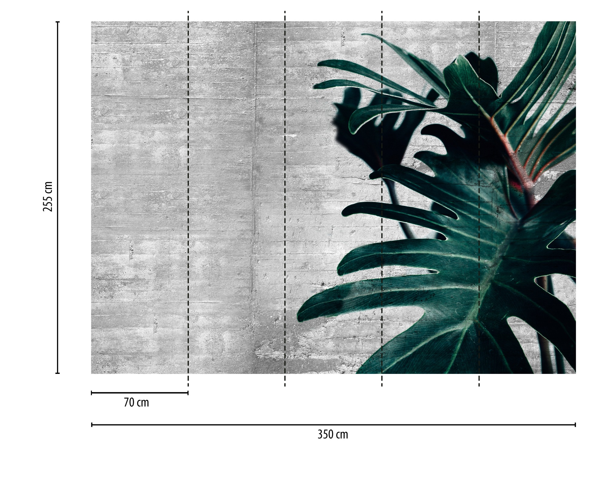 Thumbnail - A.S. Création Vliestapete "Fototapete Monstera Betonoptik Grau Grün Jungle" matt strukturiert