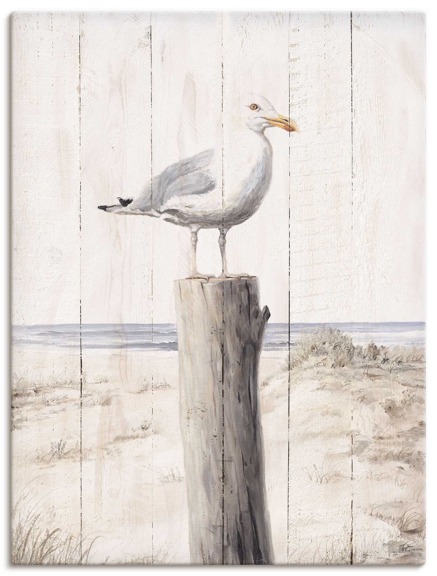 OTTO home Wandbild "Möwe mit Holzoptik" Vogelbilder 1 Stk. tlg.