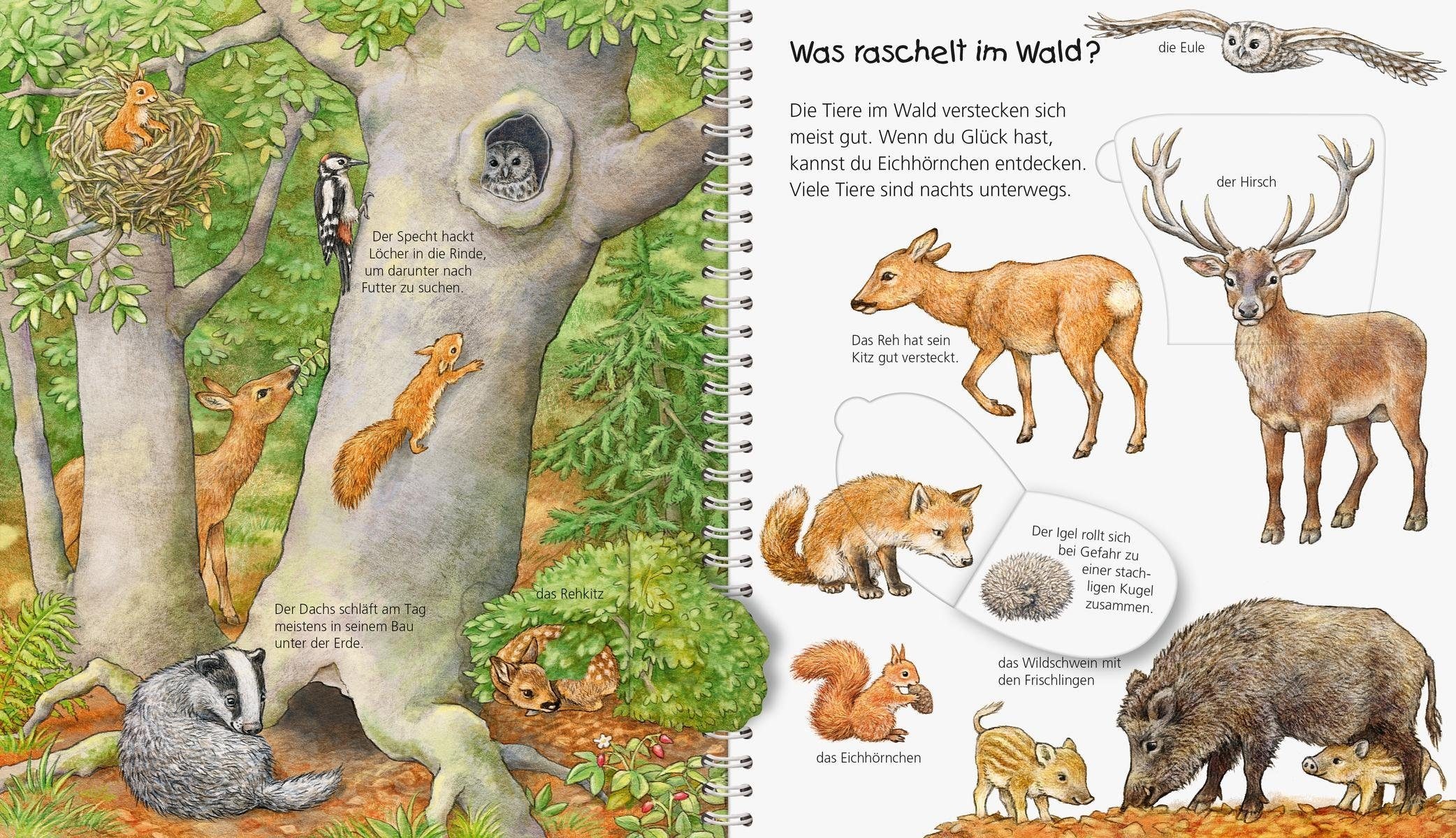 Ravensburger Buch »Mein junior-Lexikon: Tiere - Wieso? Weshalb? Warum?«, Made in Europe
