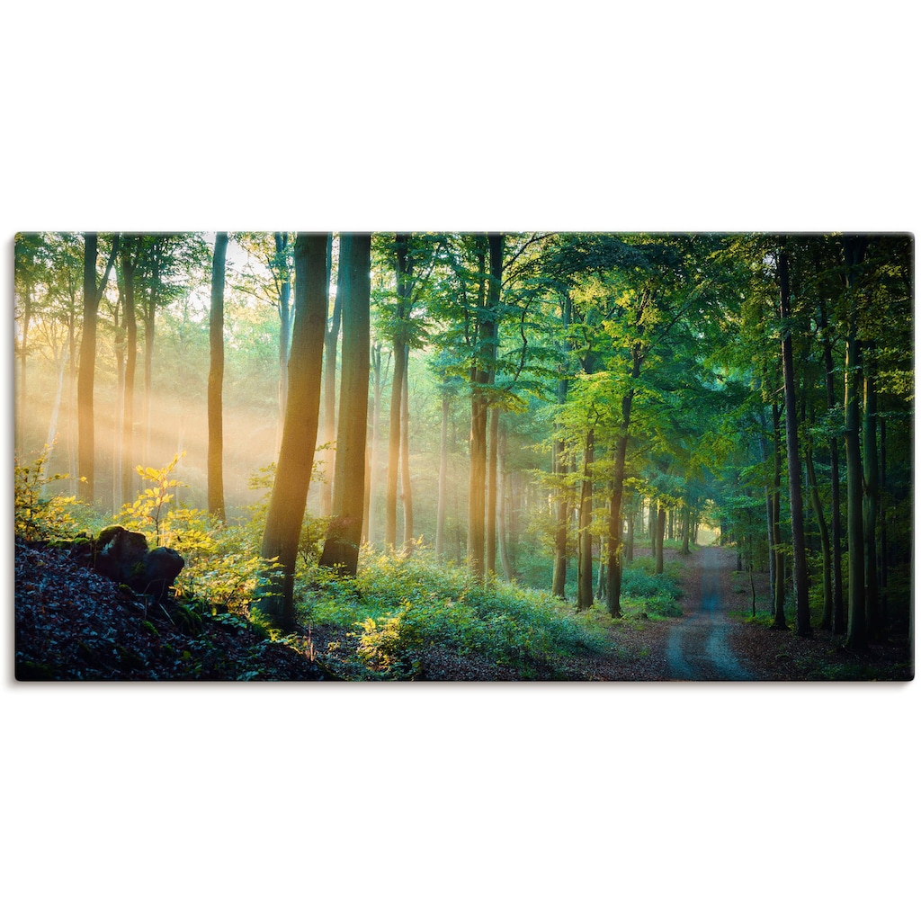 Artland Wandbild »Herbstmorgen im Wald«, Waldbilder, (1 St.)