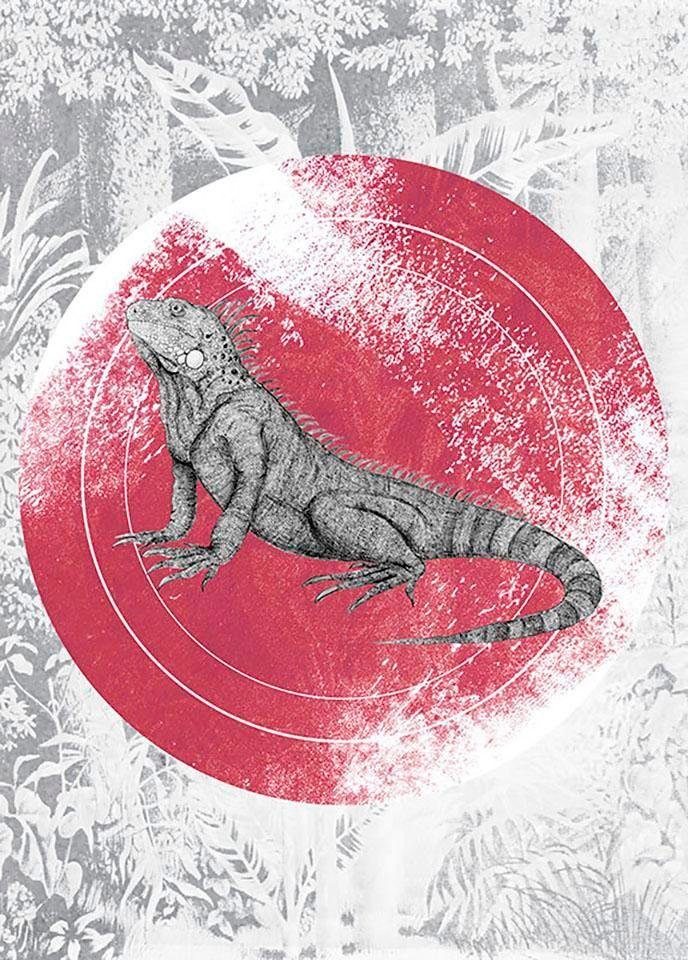 Komar Bild »Iguana Circle«, Tiere, (1 St.), Wandbild zur Dekoration - ohne Rahmen