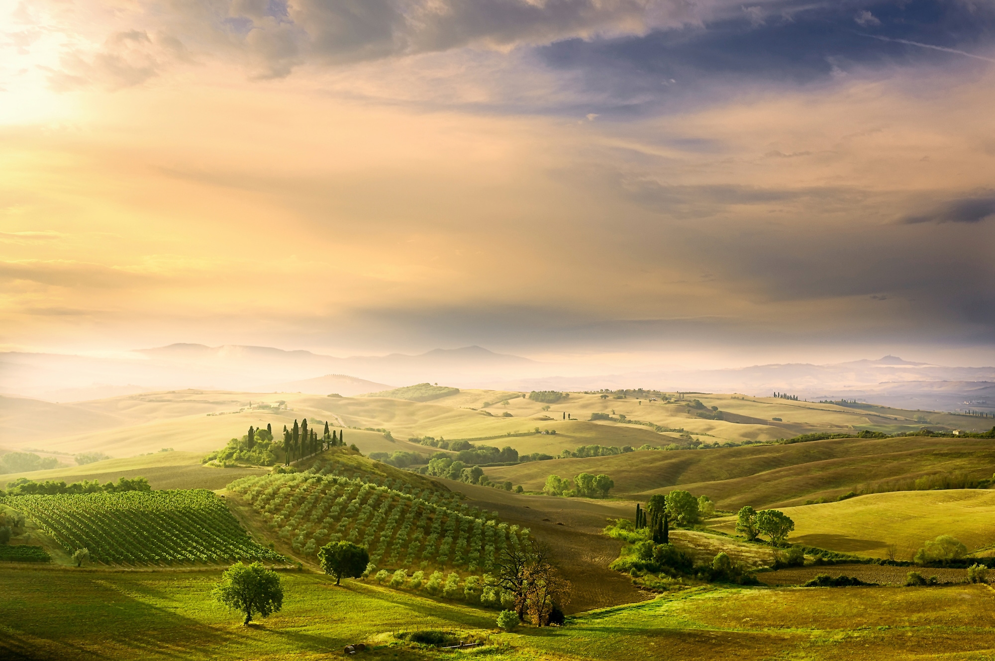 Papermoon Fototapete "Photo-Art ARNAUD BRATKOVIC, PODERE BELVEDERES SUNRISE"