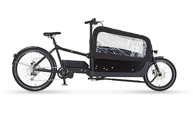 E-Bike »CARGO Plus 22.ETL.10«, 8 Gang, Shimano, Acero, Mittelmotor 250 W