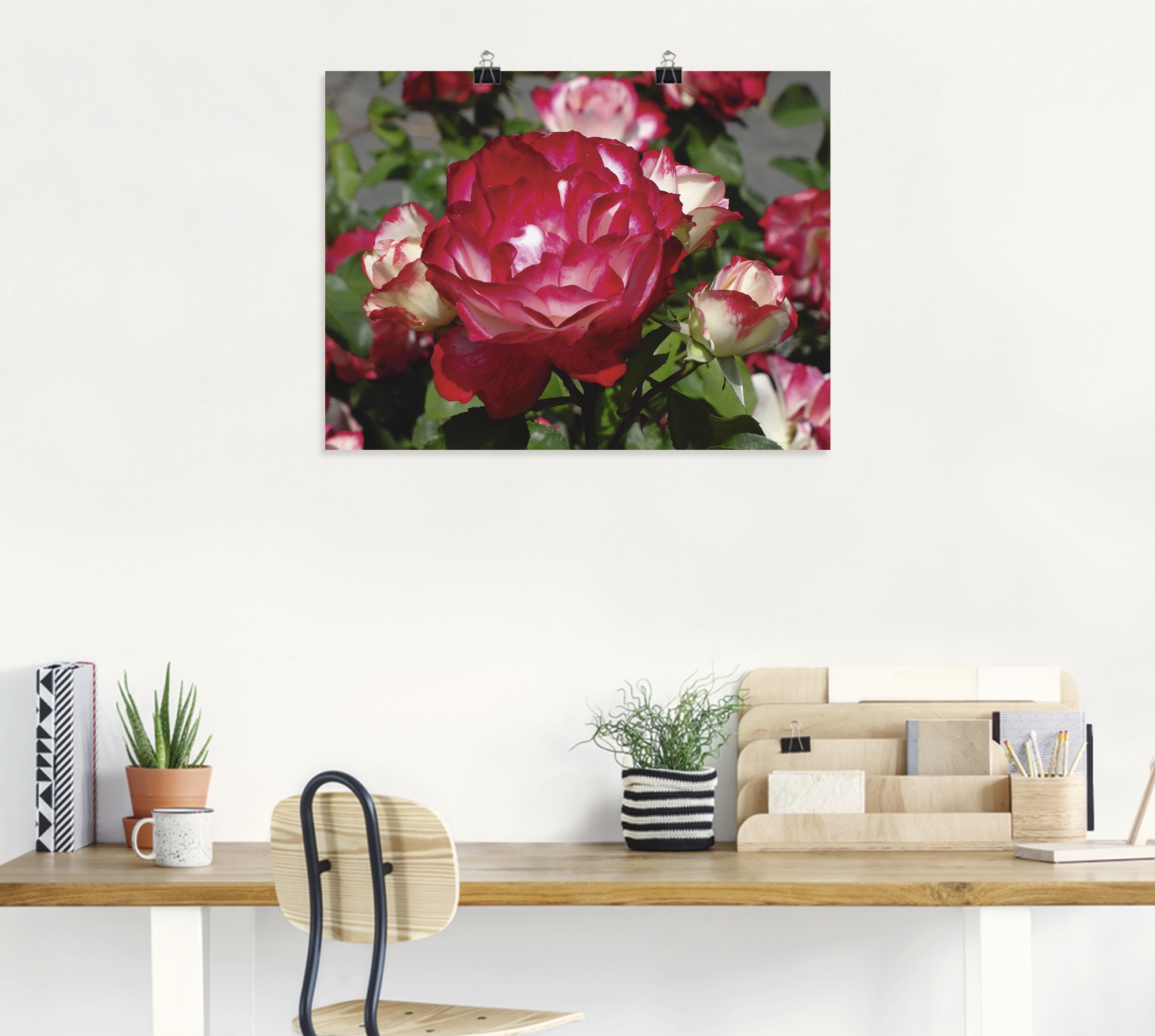 Artland Wandbild "Rot weiße Rosenblüte" Blumen 1 Stk. tlg. ohne Rahmen günstig online kaufen