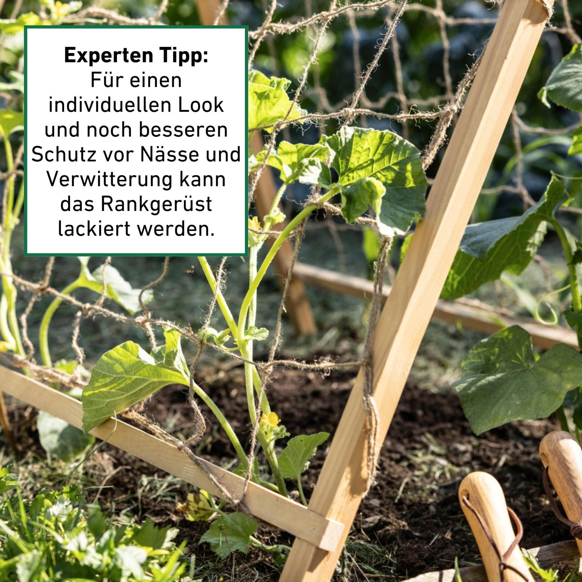 Windhager Rankgitter »Holz-Rankzelt für Blumen und Gemüsepflanzen« Klettterhilfe für den Garten, 90 x 75 x 105 cm