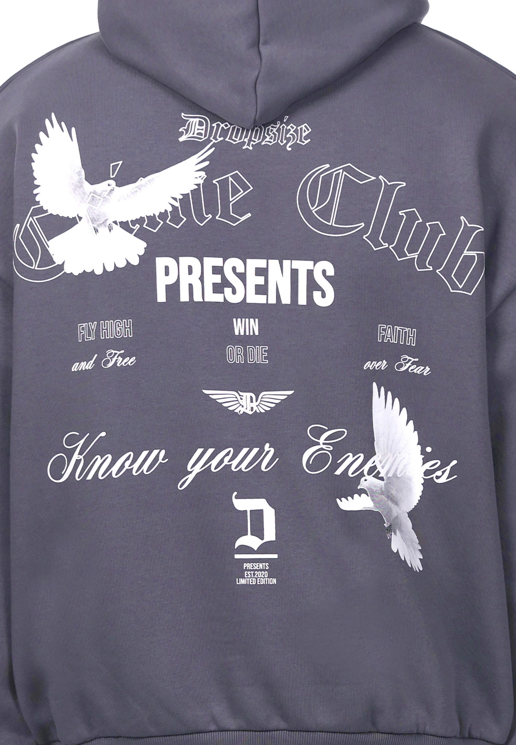 Dropsize Kapuzenpullover »Dropsize HEAVY OVERSIZE ENEMIES HOODIE« 1 Stk.