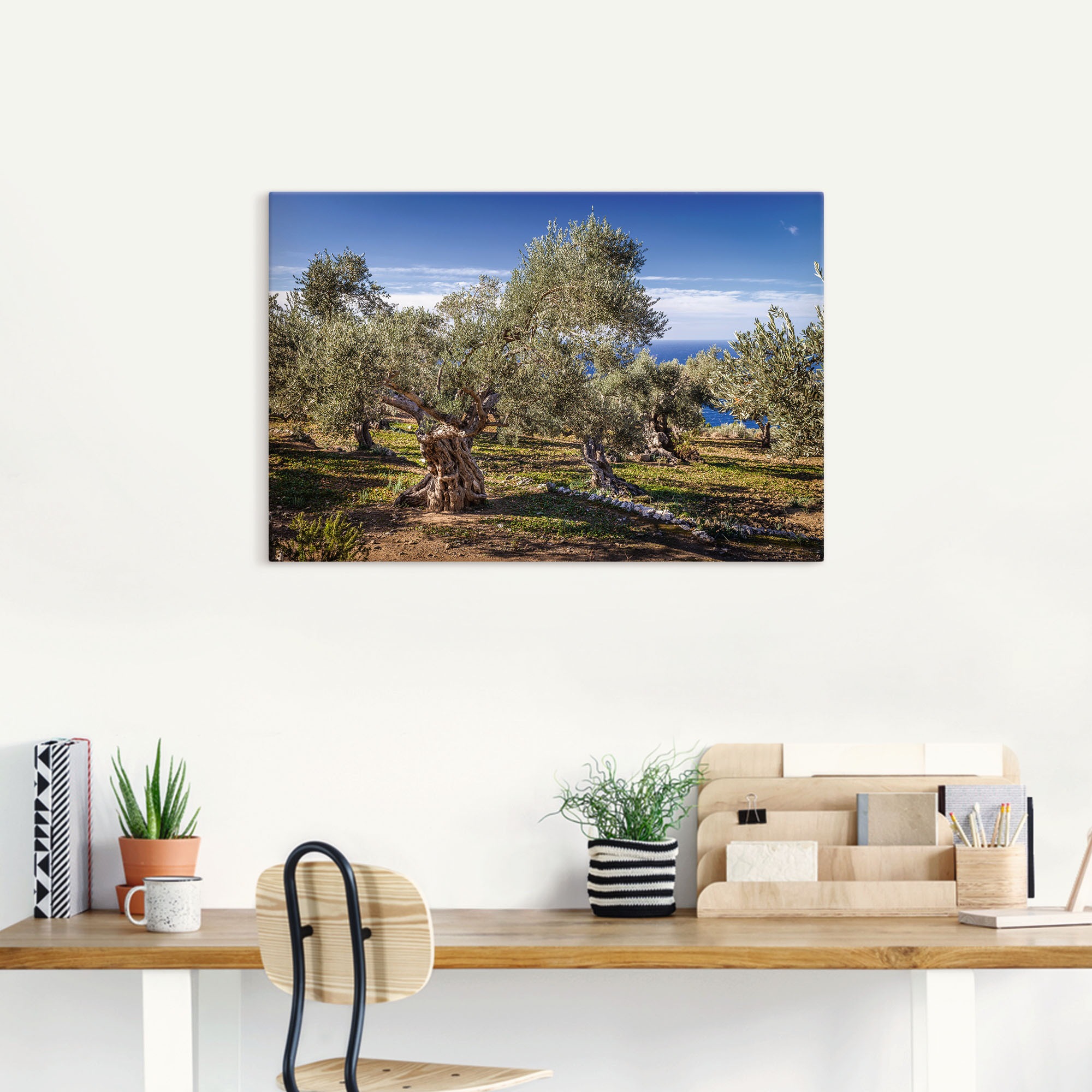 Artland Wandbild »Olivenhain in der Serra de Tramuntana«, Küstenbilder, (1 St.), als Alubild, Outdoorbild, Leinwandbild, Poster in verschied. Größen