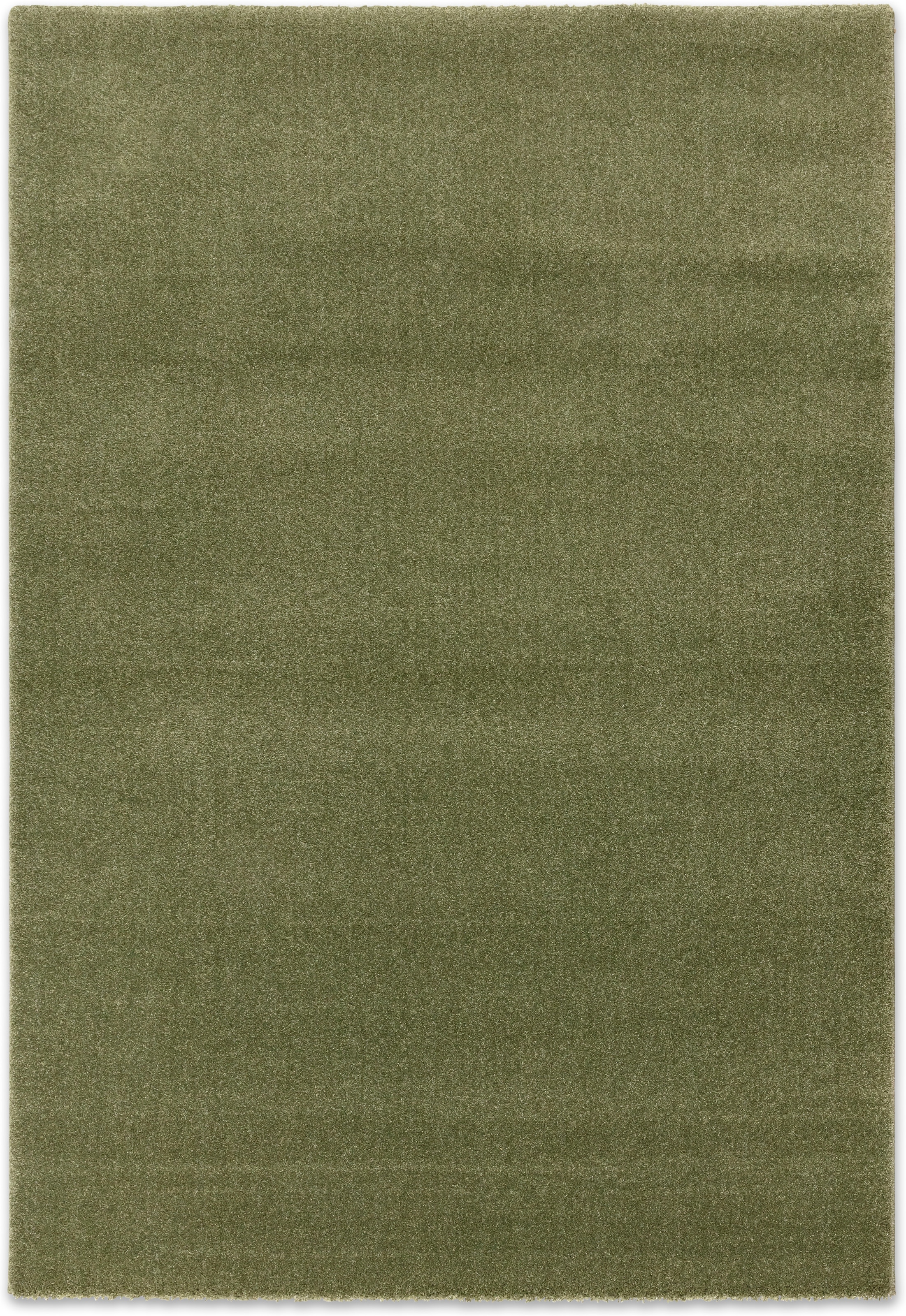 SCHÖNER WOHNEN-Kollektion "Pure 250" rechteckig 21 mm Höhe Indoor, dichter robuster Teppich mit leichtem Glanz, Oeko-Tex
