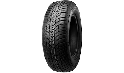 verschiedenen | Bridgestone Winterreifen kaufen in (1 Ausführungen erhältlich St.), BAUR »LM-005«,