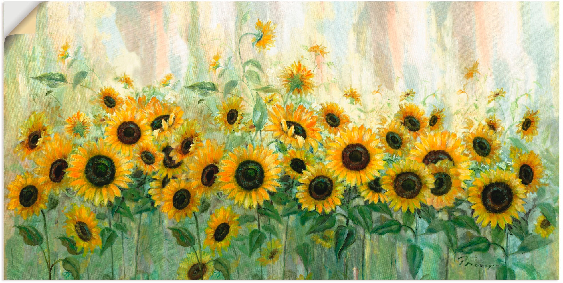 BAUR Leinwandbild, »Sonnenblumenwiese«, Poster Alubild, | Blumen, versch. Größen bestellen in St.), Wandbild (1 Artland oder als Wandaufkleber