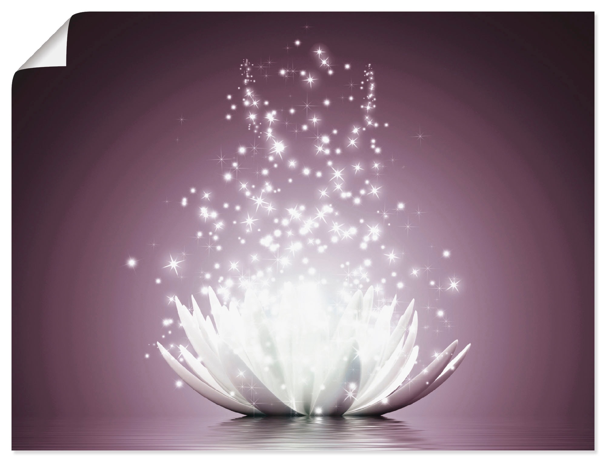 Artland Wandbild »Magie als Lotus-Blume«, Wandaufkleber (1 versch. BAUR der Leinwandbild, oder | Größen Blumen, St.), in Poster bestellen