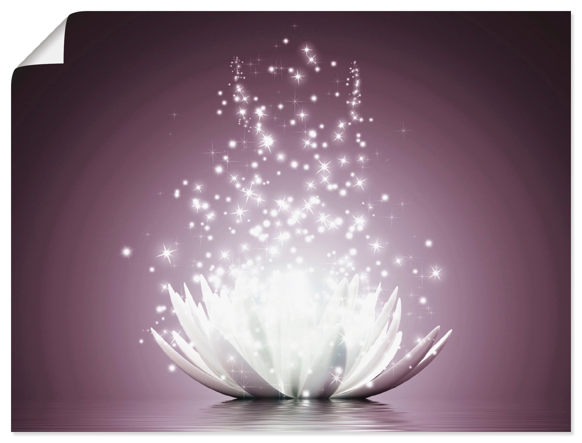 Artland Wandbild "Magie der Lotus-Blume" Blumen 1 Stk. tlg. als Leinwandbil günstig online kaufen