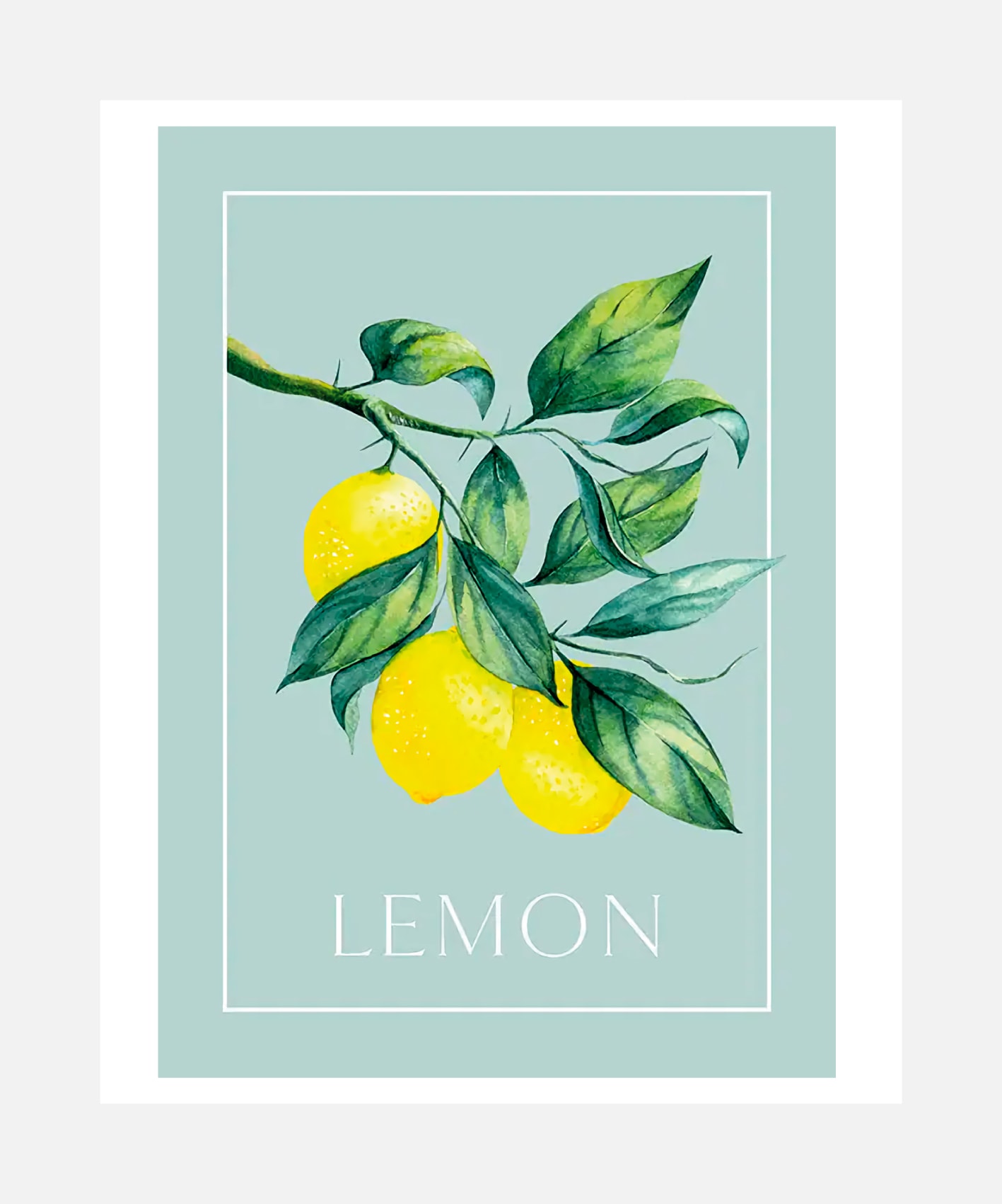 queence Bild mit Rahmen "oder Poster, Lemon - Zitronenzweig" Abstrakt Figuren Obst Obst Bilder Schriftzug 1 Stk. tlg. HD Premium Druck