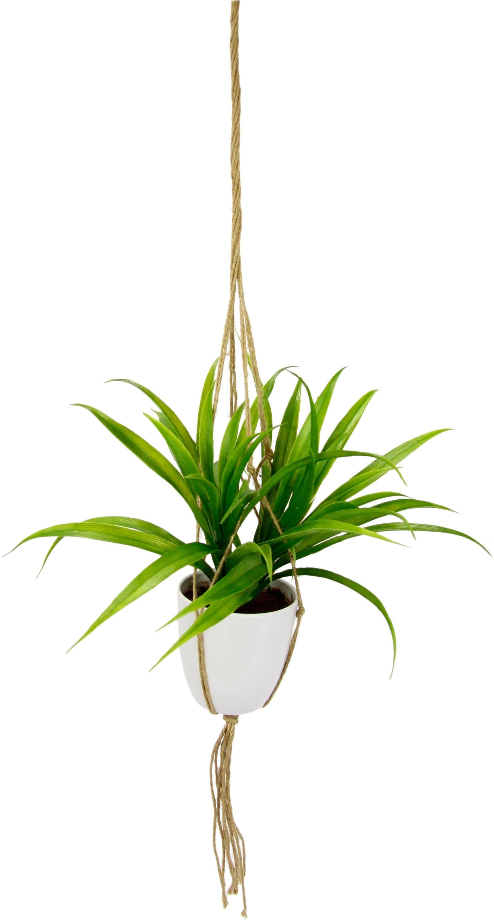 I.GE.A. Kunstpflanze »Dracena« in Hängeampel