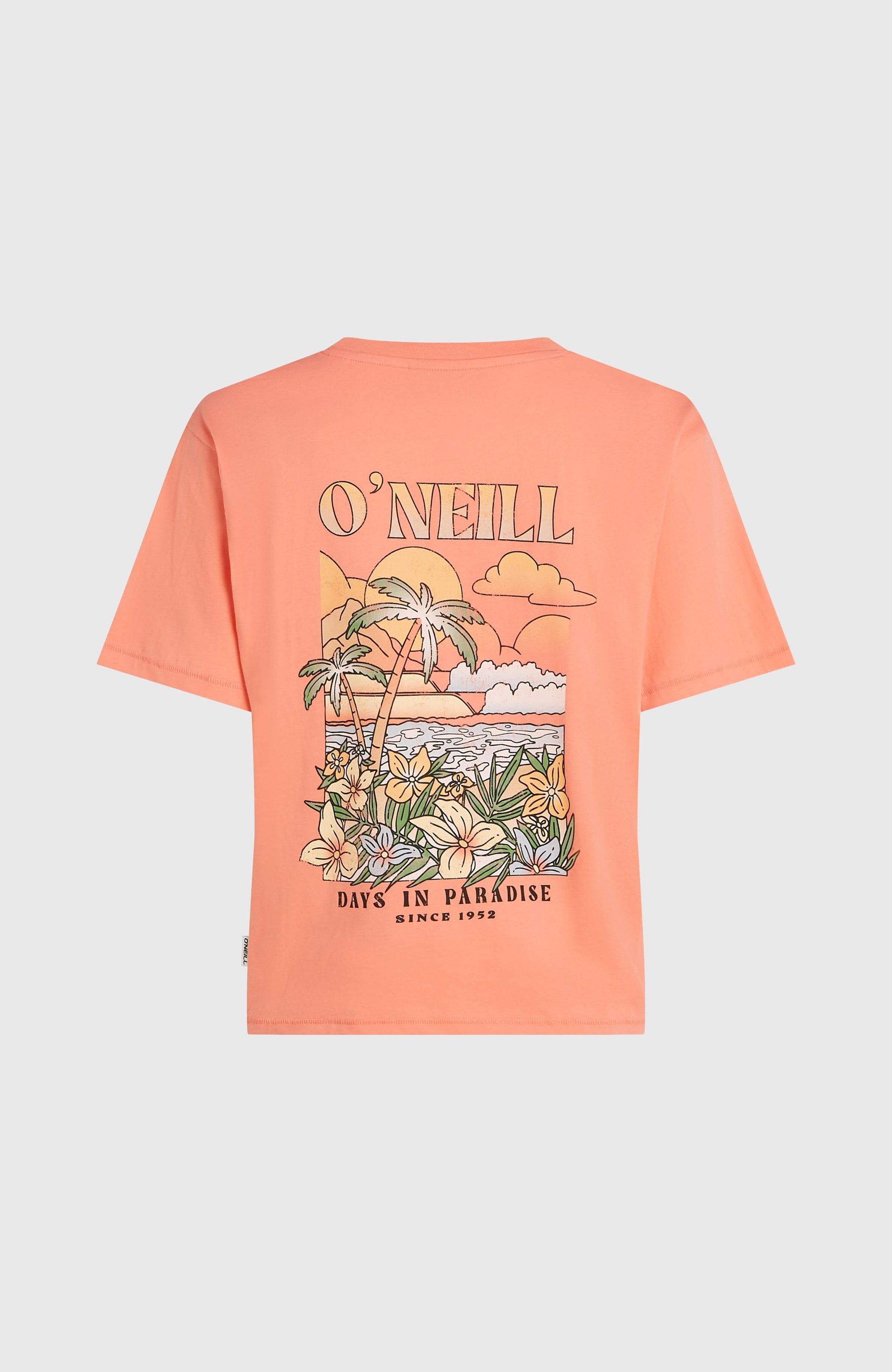 O'Neill T-Shirt »O'NEILL BOXY BACK PRINT T-SHIRT« sportliche Passform, lockerer Schnitt