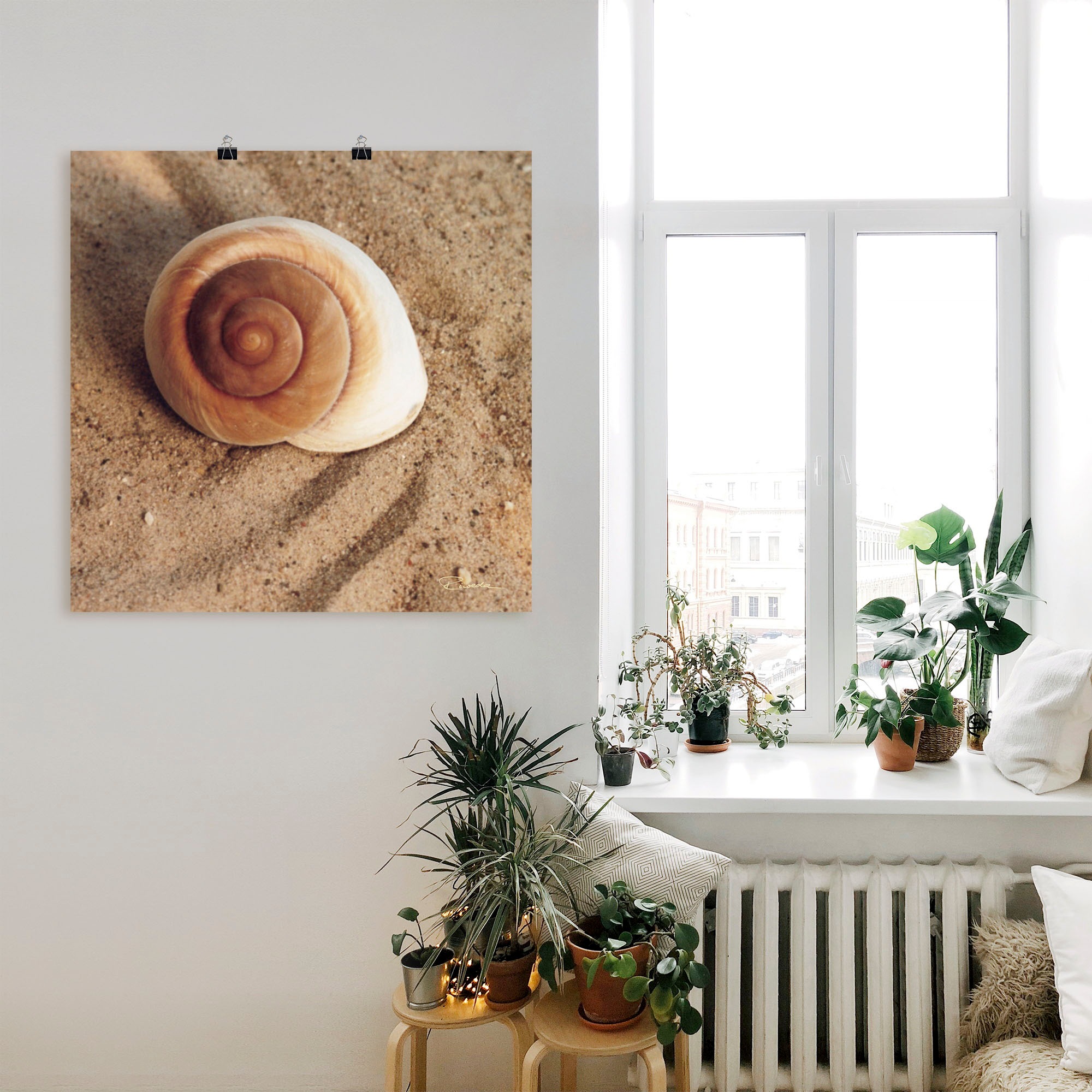 Artland Wandbild "Muschel", Wassertiere, (1 St.), als Alubild, Outdoorbild, günstig online kaufen