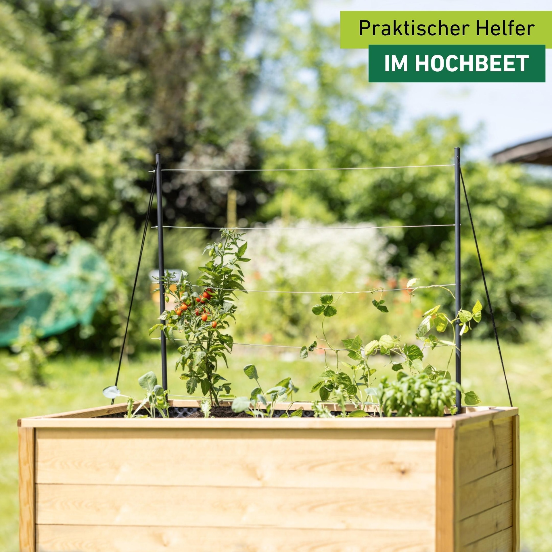 Windhager Rankhilfe »mit Edelstahlseil in dezenter Optik, Pflanzenstütze« langlebig und robust, 100 x 118 cm