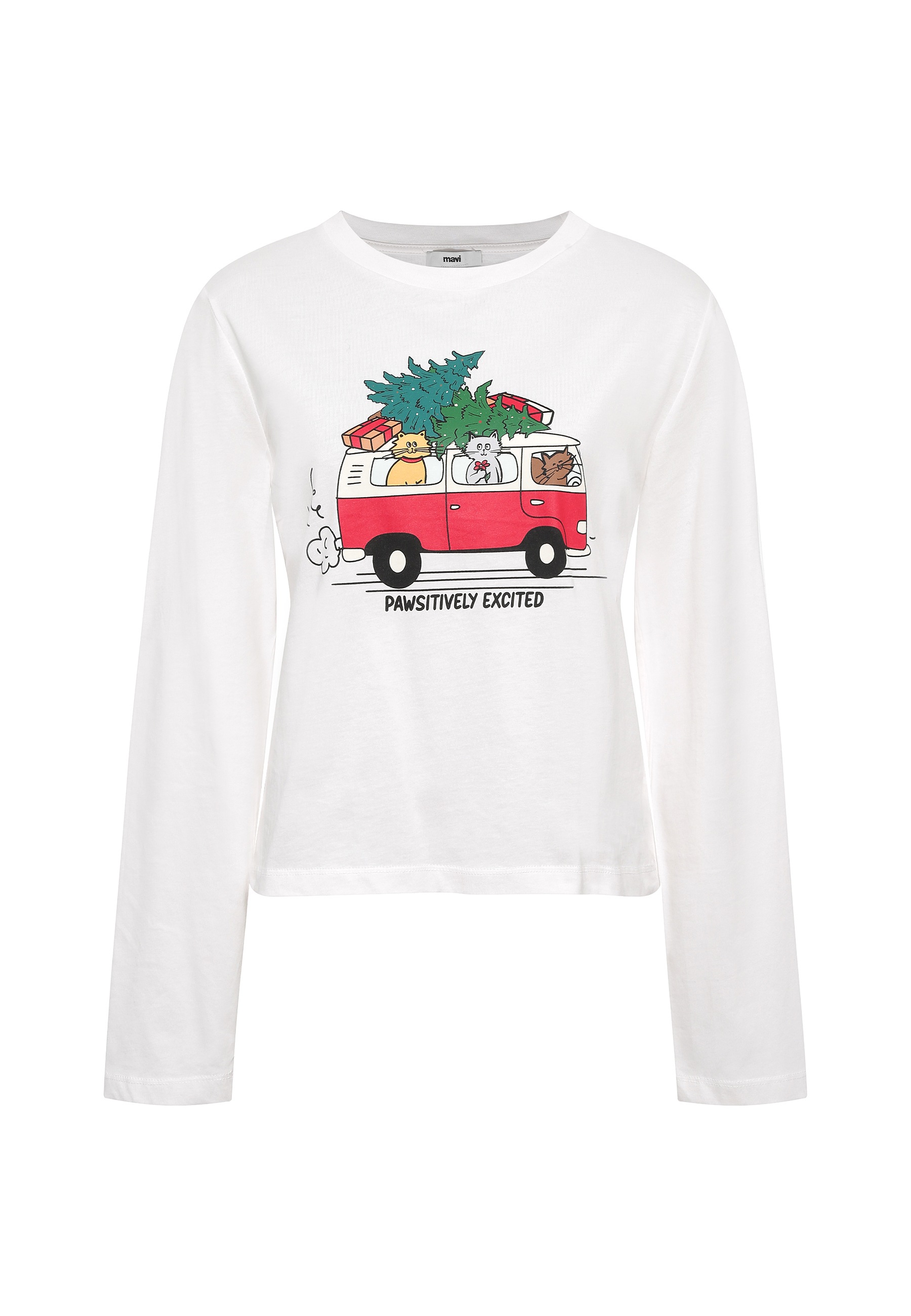 Mavi Langarmshirt »PAWSITIVELY LONGSLEEVE«, Longsleeve X-Mas