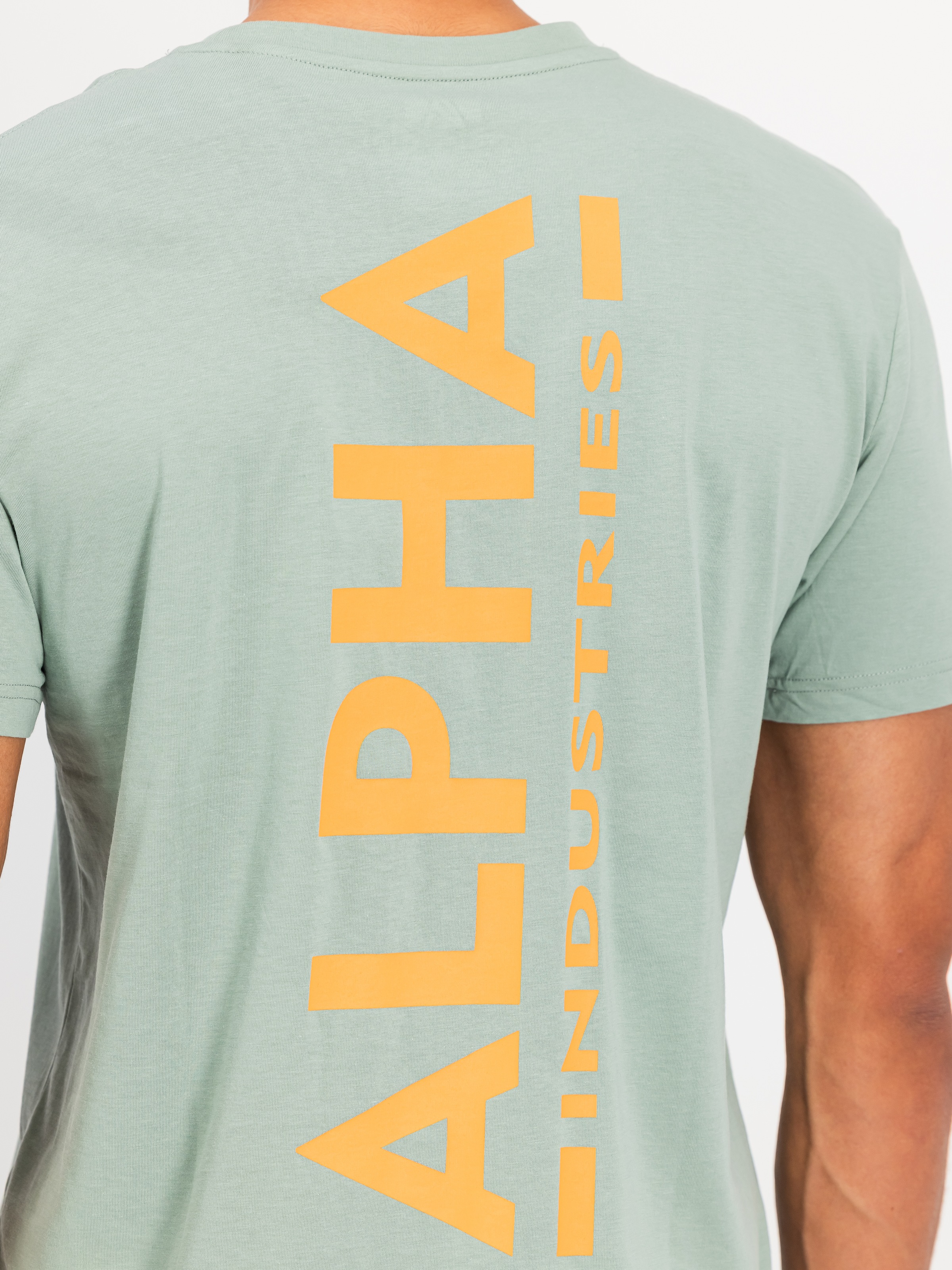 Alpha Industries Backprint T-Shirt Frost Green M 3