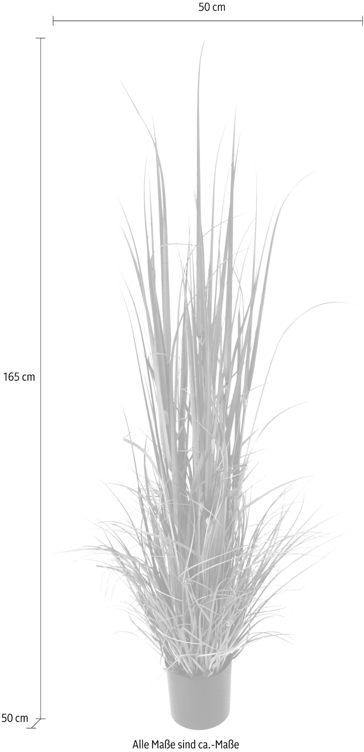 I.GE.A. Kunstpflanze »Gras im Topf«