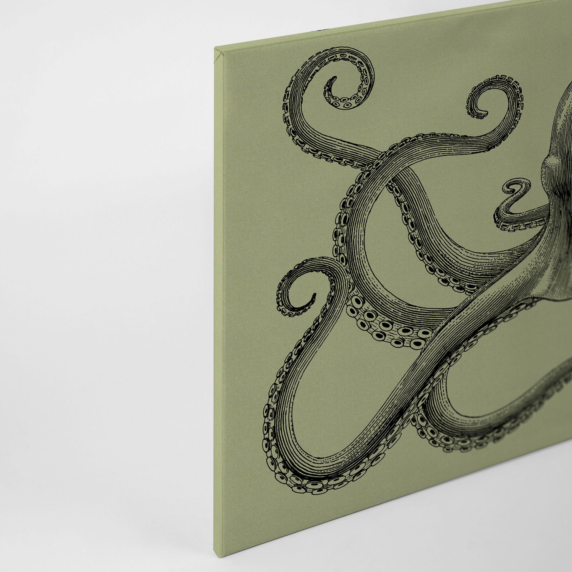 A.S. Création Leinwandbild »jules 3«, Kunst-Tiere-Kinder, (1 St.), Keilrahmen Octopus Krake Grün Schwarz Leinwand-Bild Wohnzimmer modern