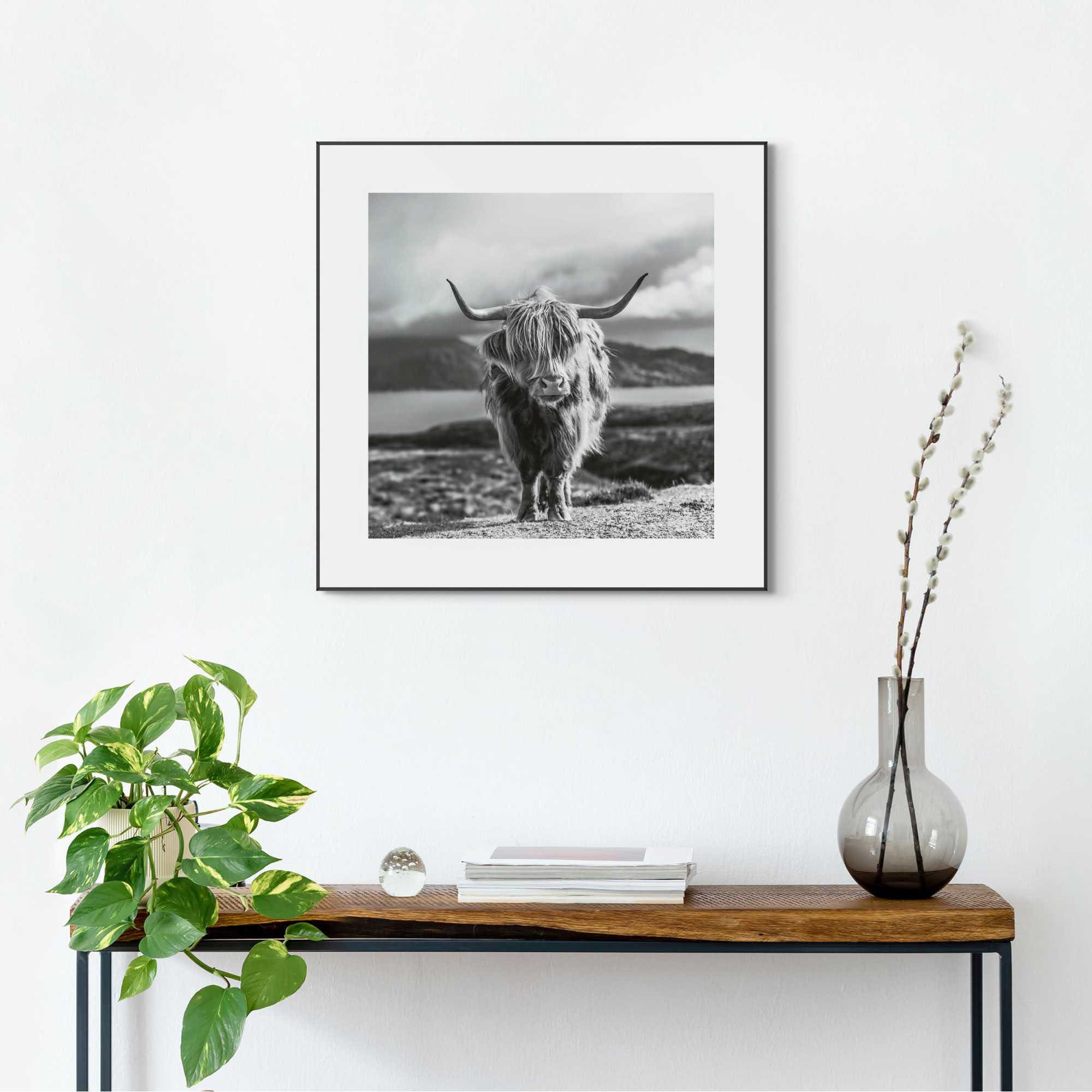 Reinders! Wandbild »Slim Frame Black 50x50 Highland Cow« kaufen | BAUR