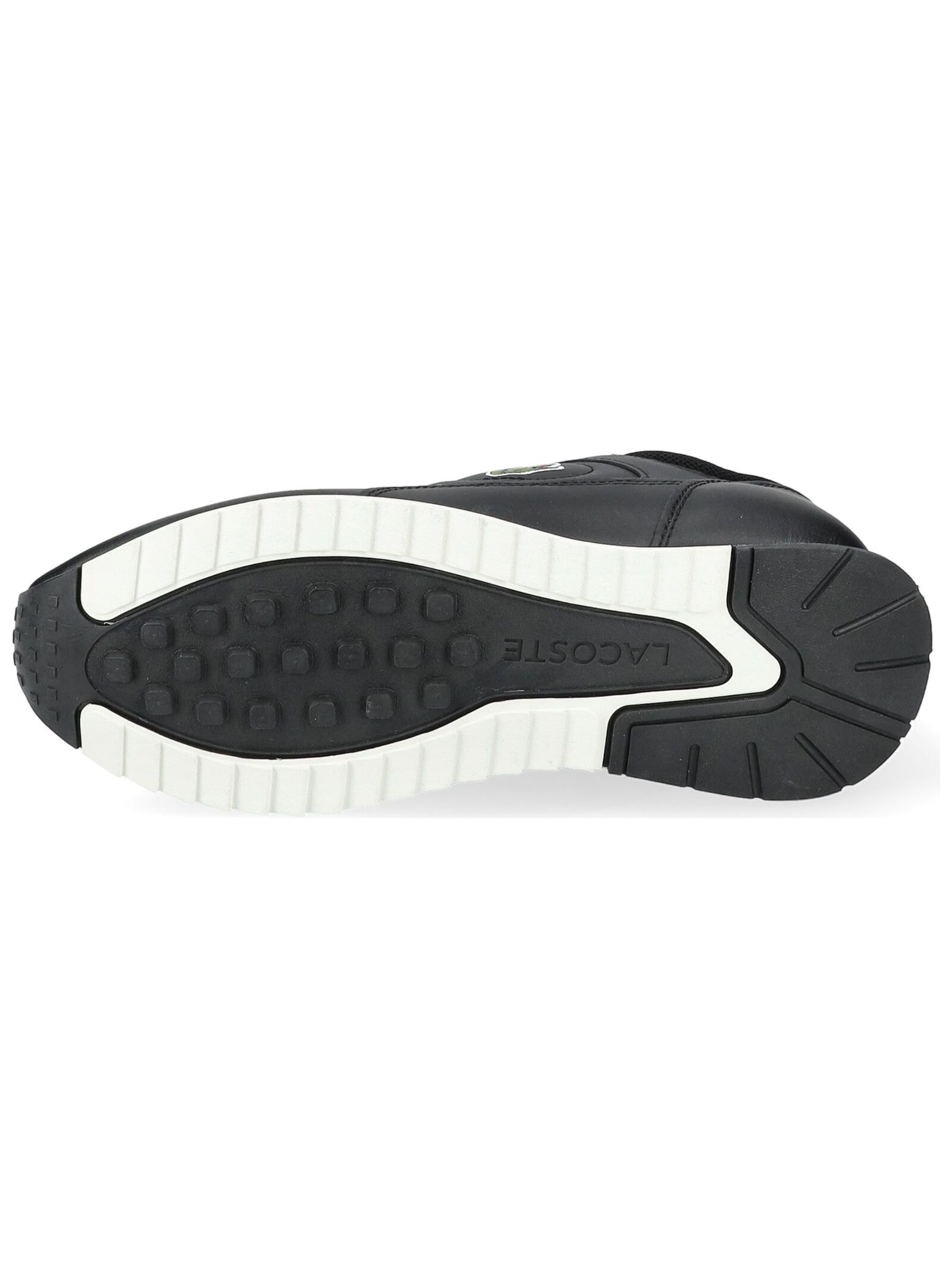 Lacoste Sneaker »lacoste Sneaker Leder/Textil«