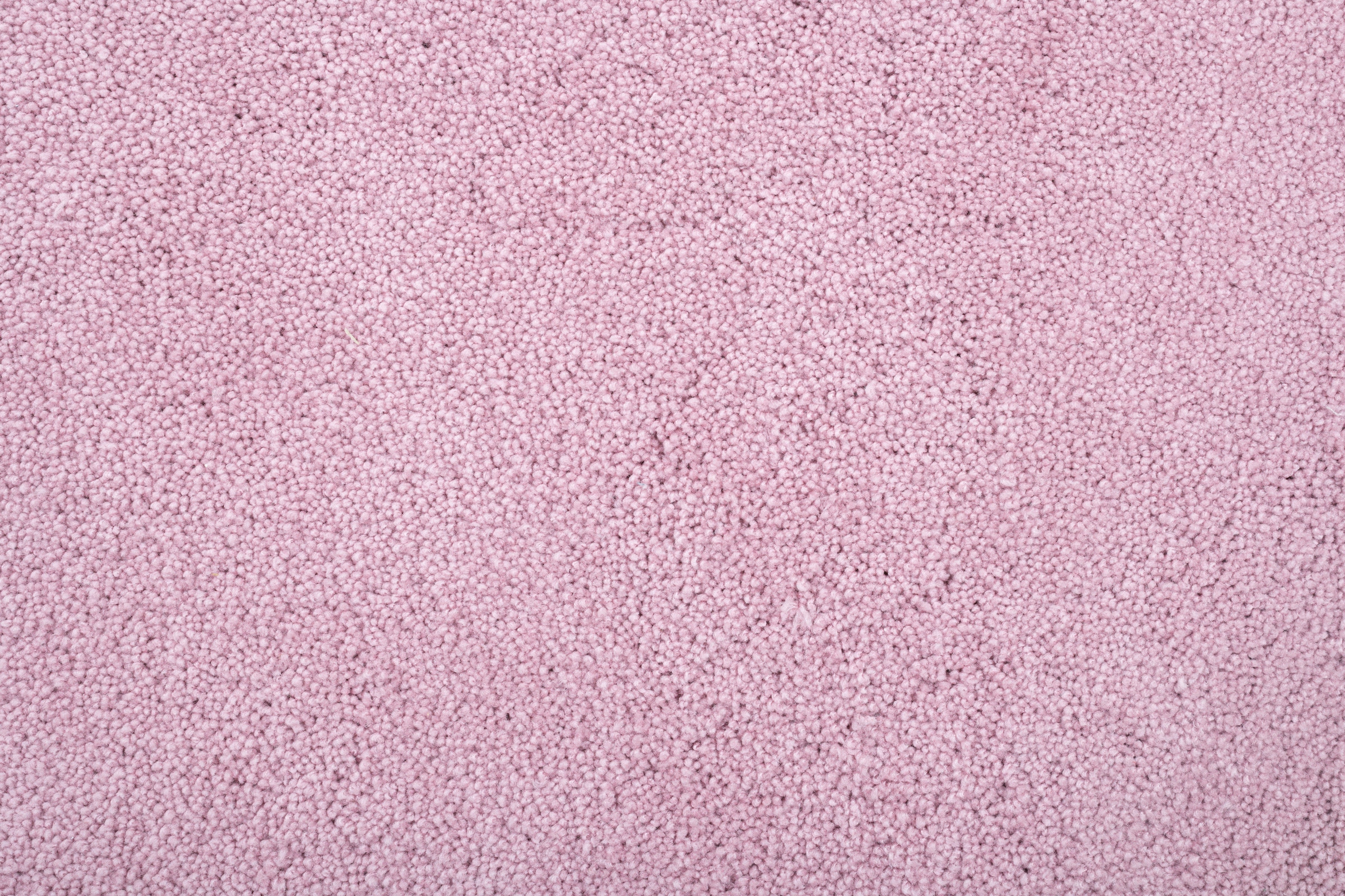 TOM TAILOR HOME Badematte »Cozy Bath UNI«, rutschhemmend beschichtet, fußbodenheizungsgeeignet, Badteppich, Uni Farben, rechteckig, rund und oval erhältlich