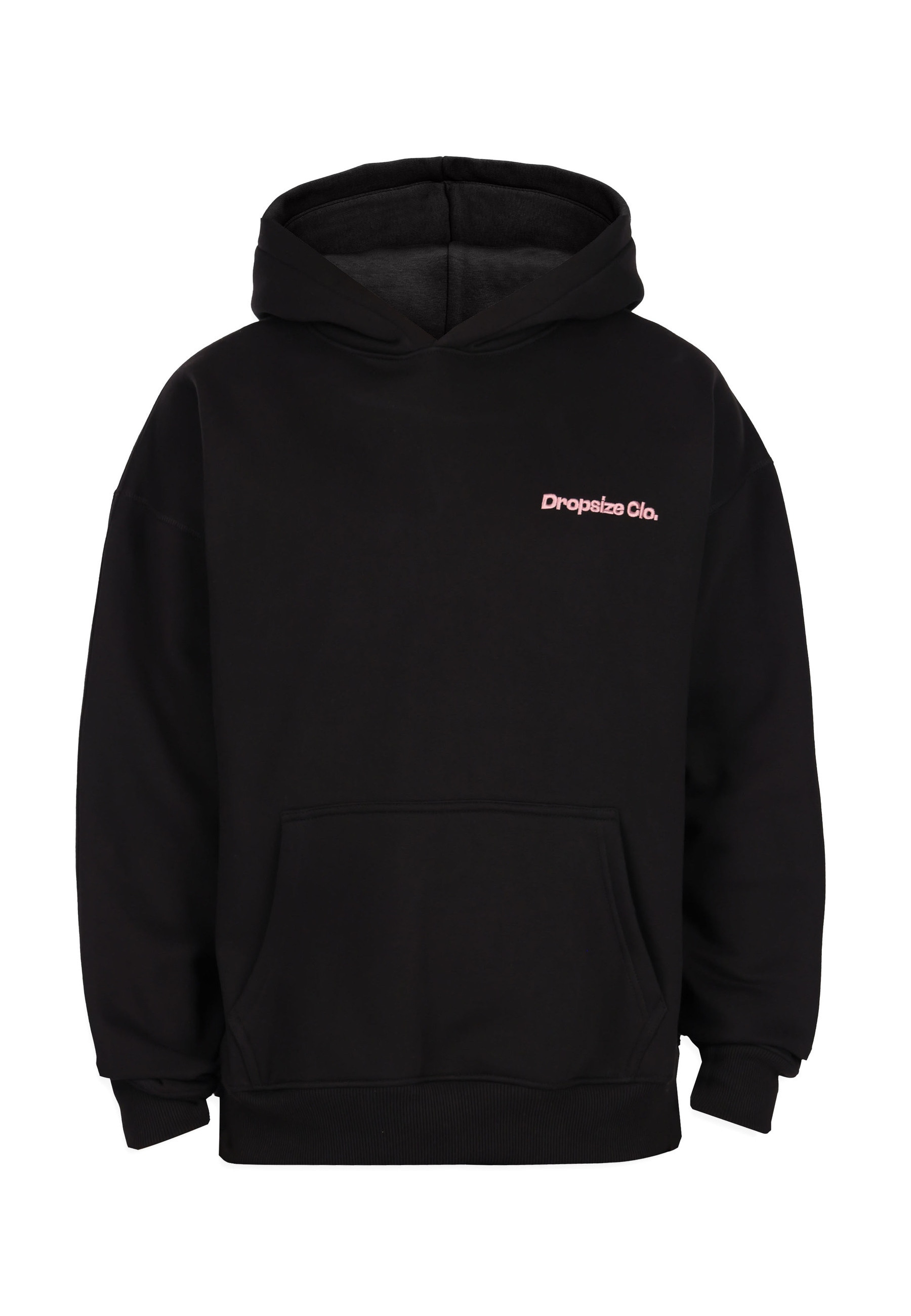 Dropsize Kapuzensweatshirt "Dropsize SNAKE APPLICATION HOODIE", 1 Stk. günstig online kaufen