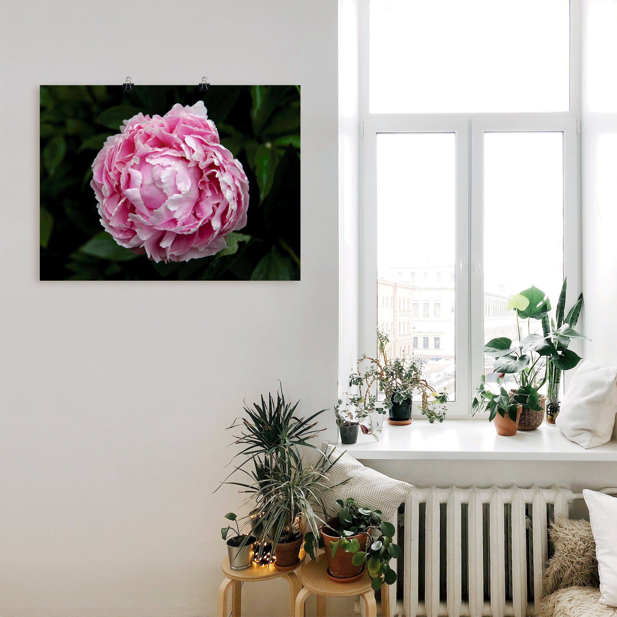 Artland Wandbild »Pfingstrose«, Blumen, (1 St.), als Leinwandbild, Wandaufkleber oder Poster in versch. Größen