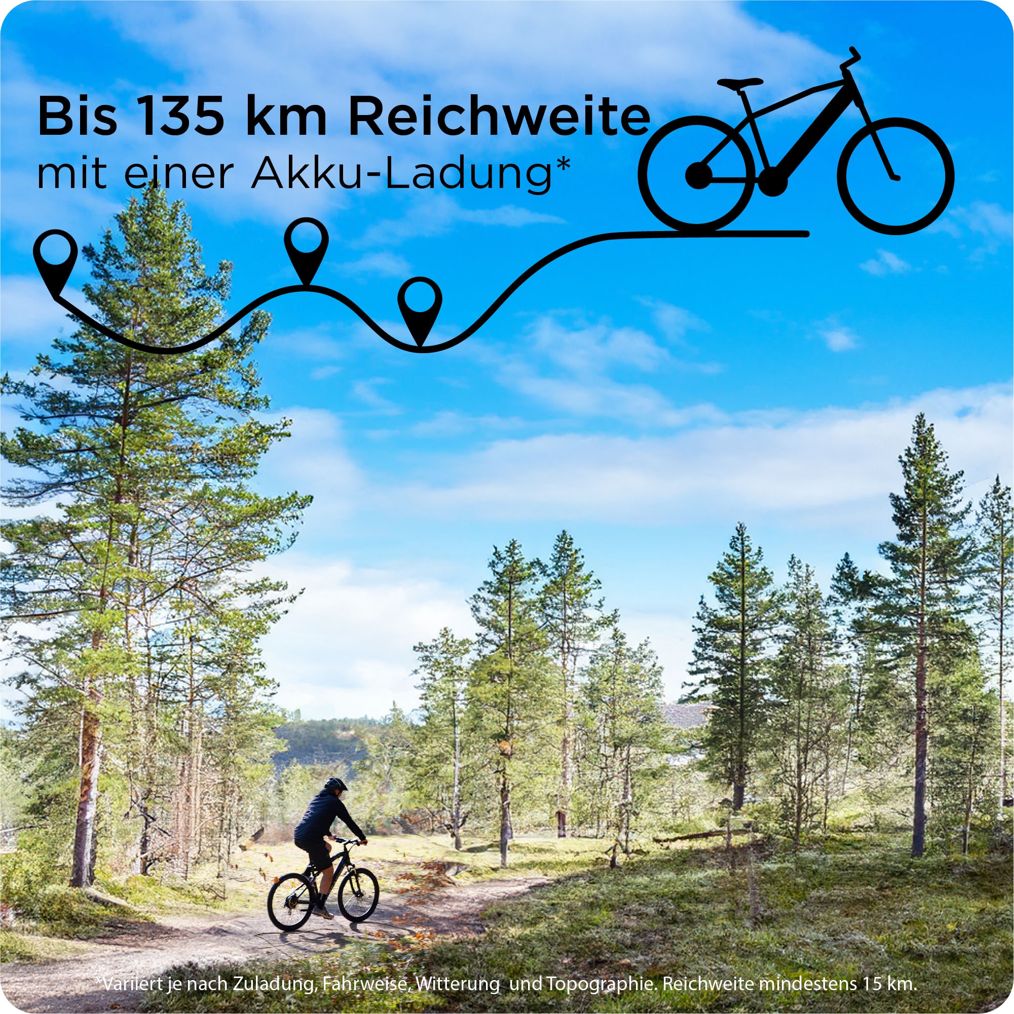 Zündapp E-Bike »Z898«, 10 Gang, Heckmotor 250 W, Pedelec, Elektrofahrrad für Damen u. Herren, MTB